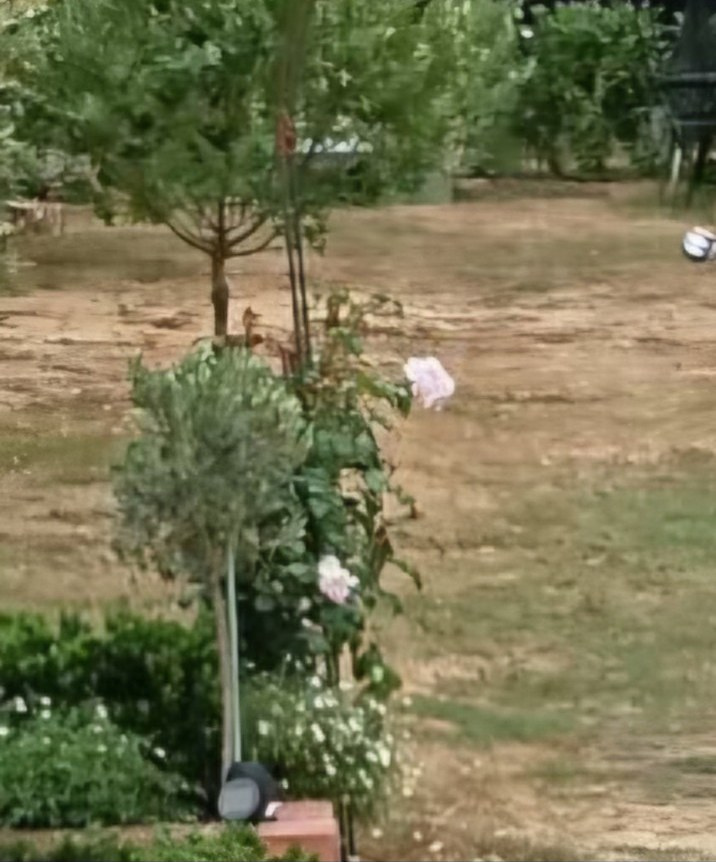 Garden area 3 at installation