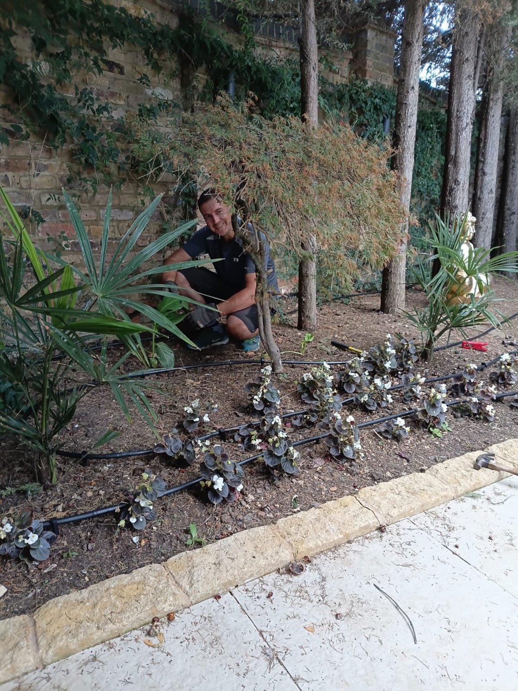Drip irrigation fitted along a planted border